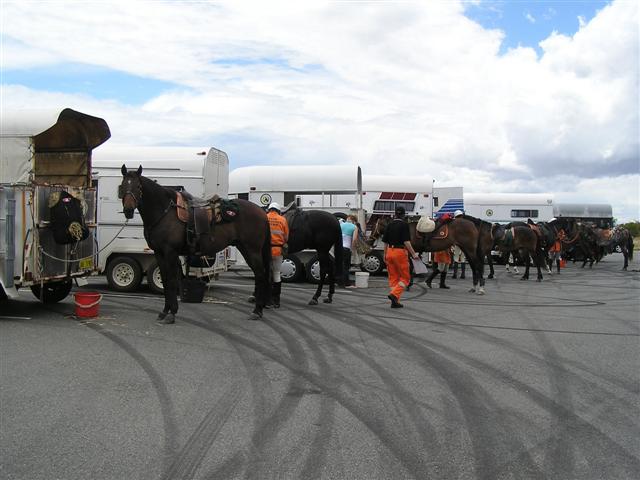SES Mounted Section